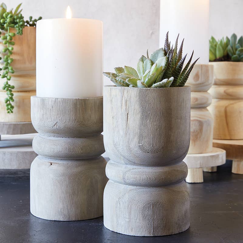 Succulent Pillar - Grey Paulownia Wood