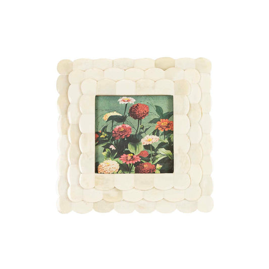 Scallop Picture Frame White Bone