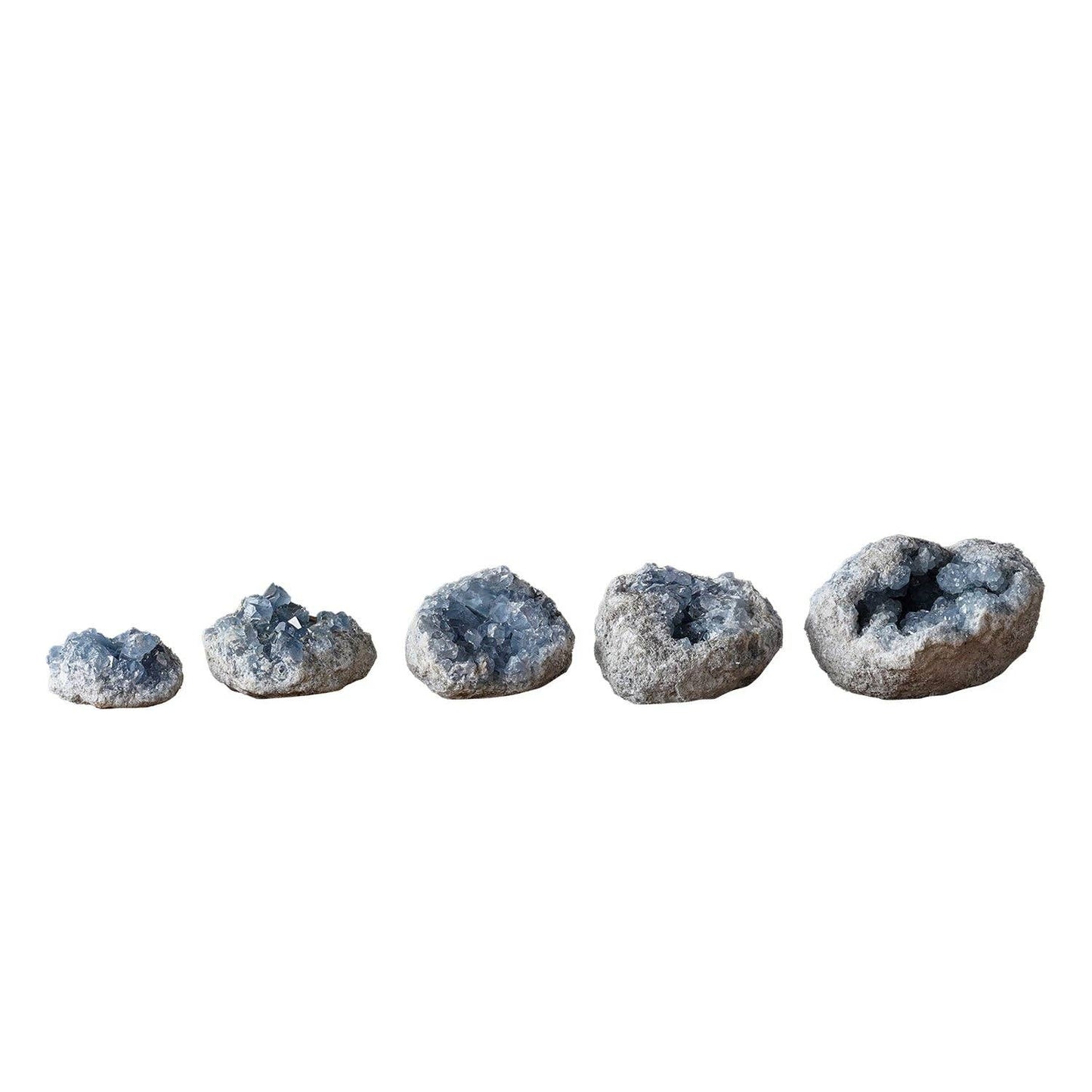 Celestite Geode: Large
