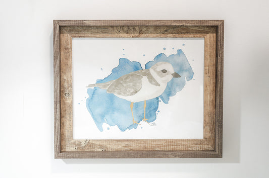 Framed Watercolor Coastal Birds