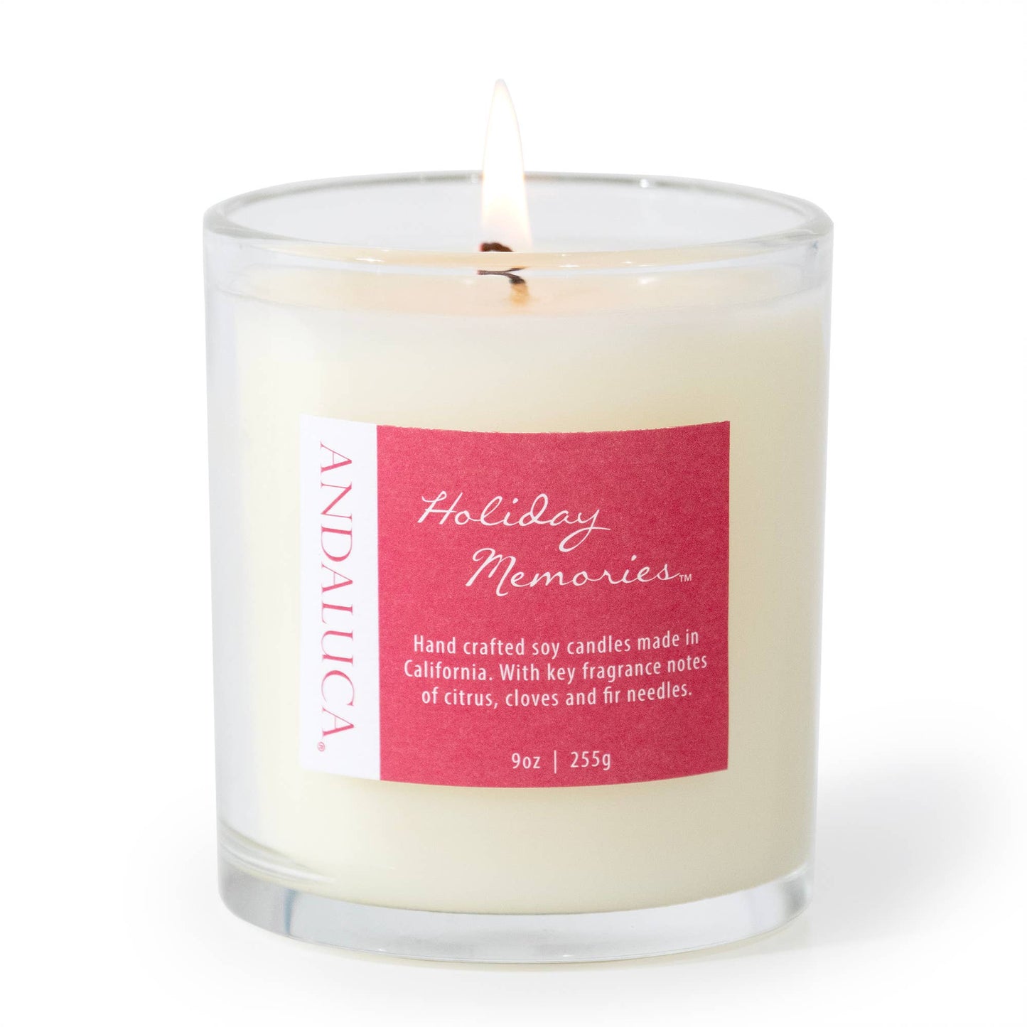 Holiday Memories 9 oz Candle