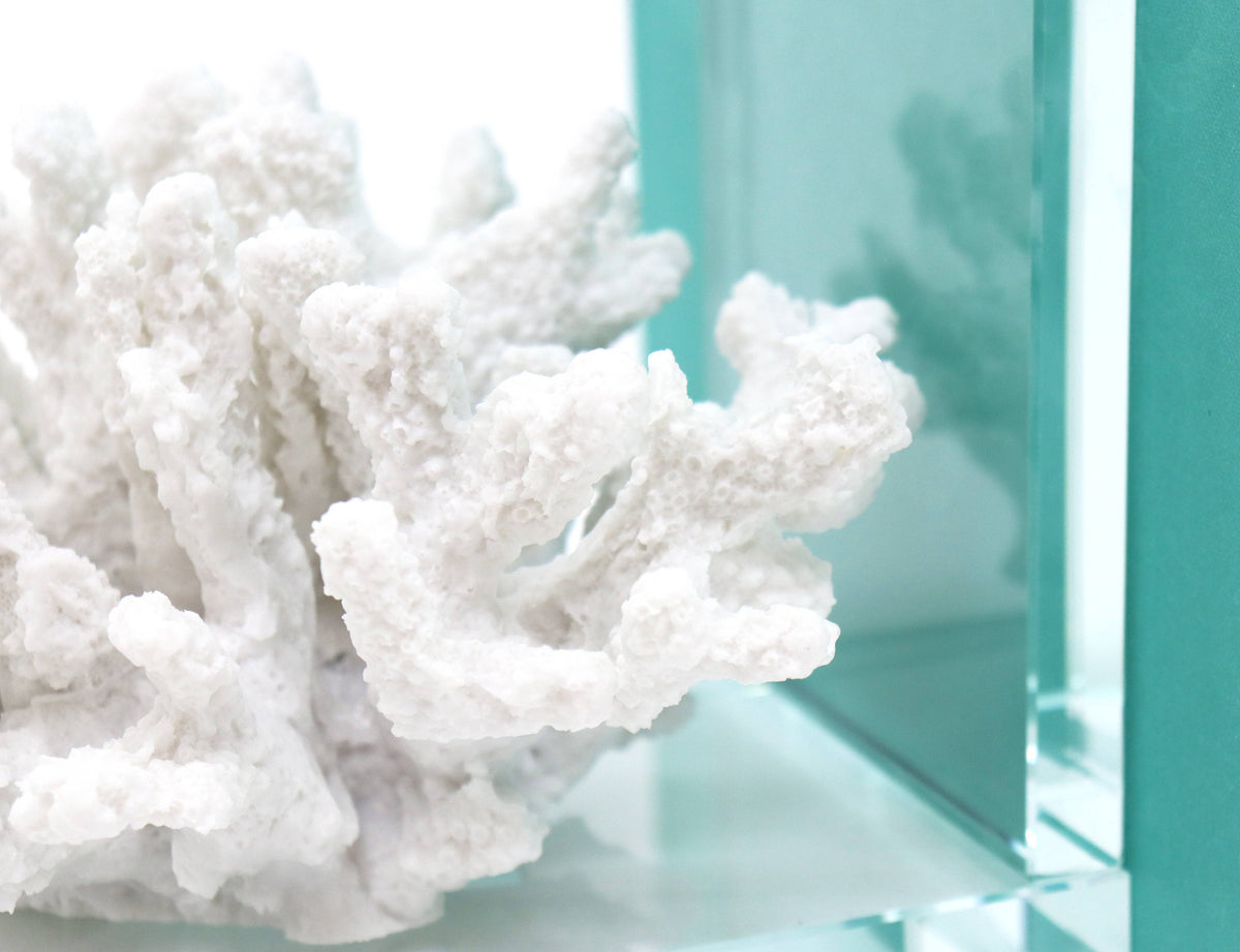 Petite Coral Bookend Set of 2