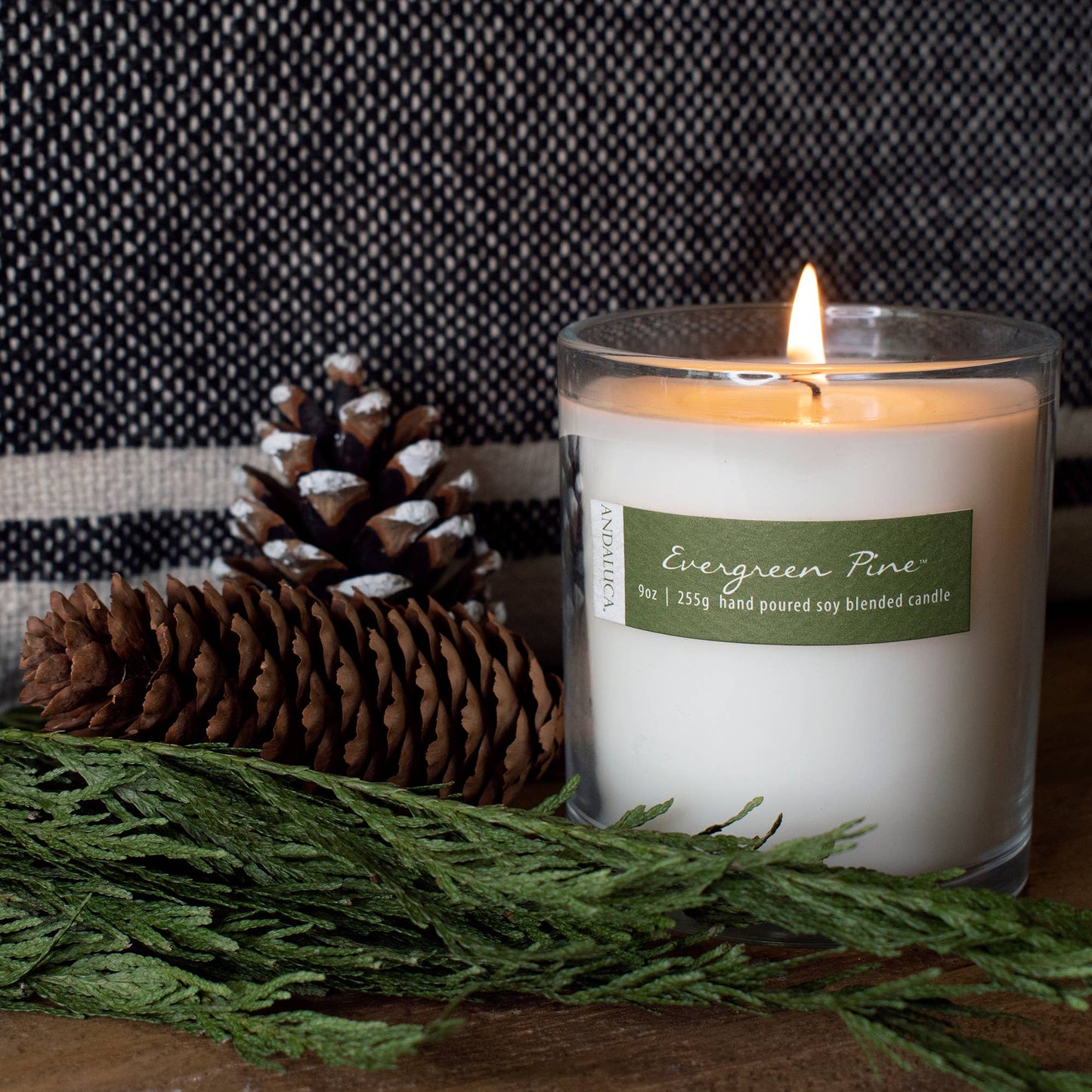 Evergreen Pine 9 oz Candle