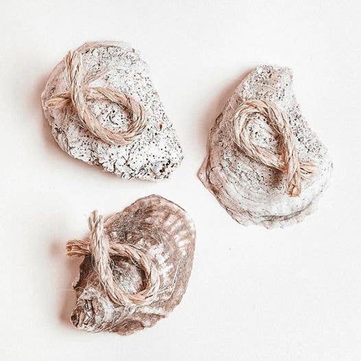 Coastal Oyster Gift Set of 3