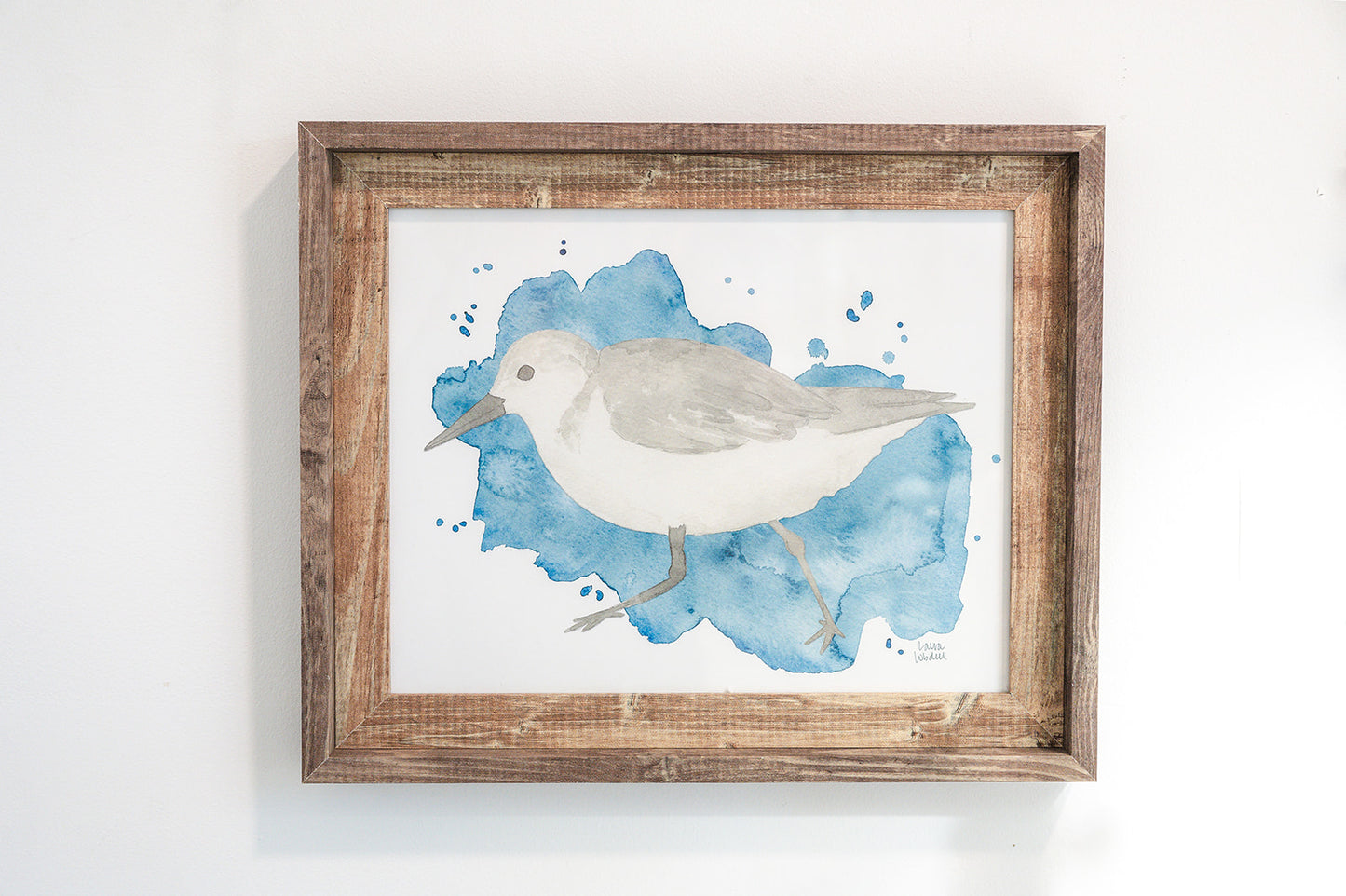 Framed Watercolor Coastal Birds