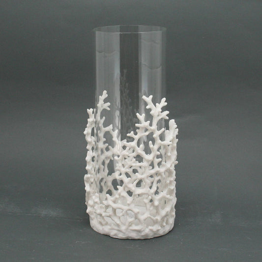 Large White Coral Hurricane