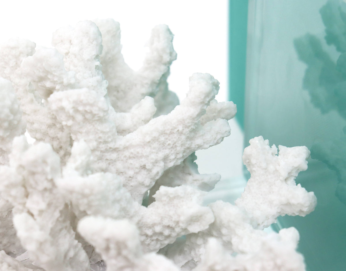 Petite Coral Bookend Set of 2