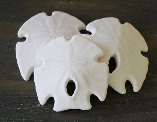 Arrowhead Sand Dollar