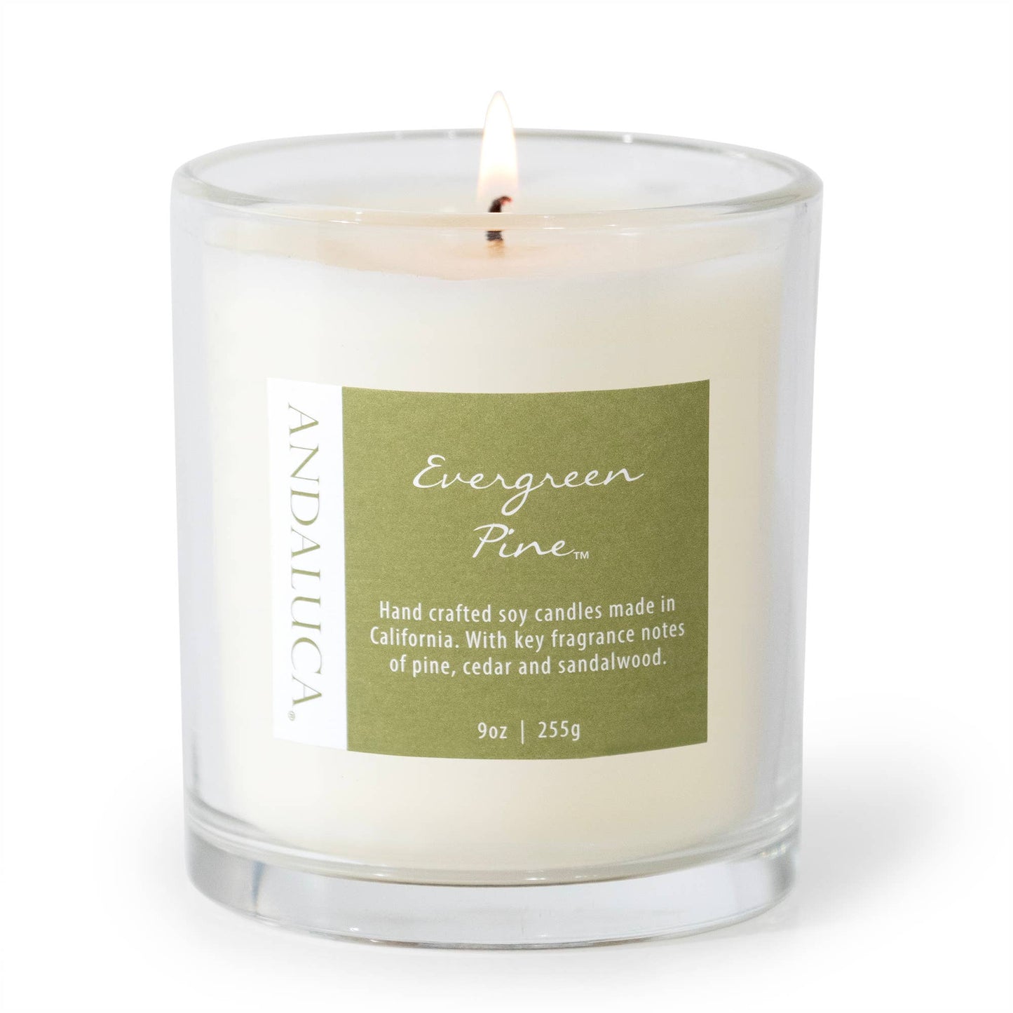 Evergreen Pine 9 oz Candle