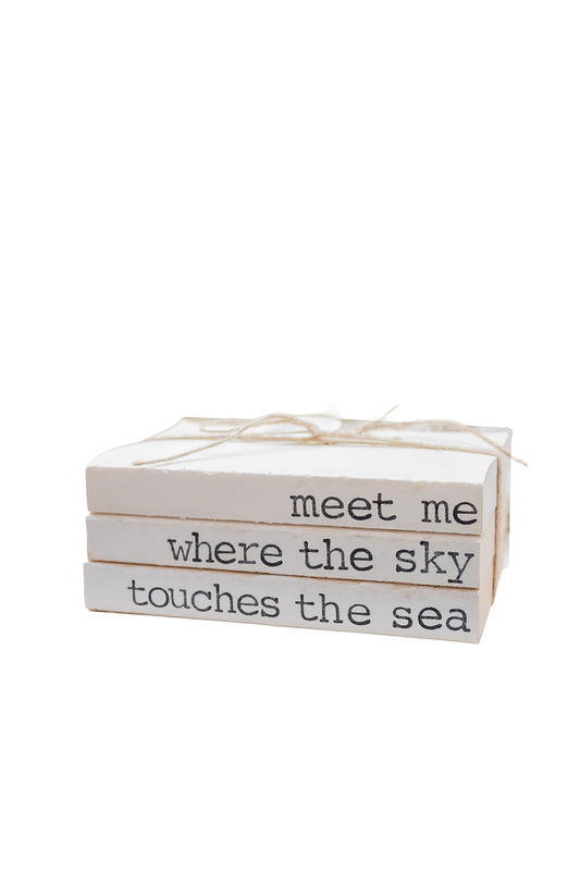 "Meet Me Where The Sky Meets The Sea" Book Stack