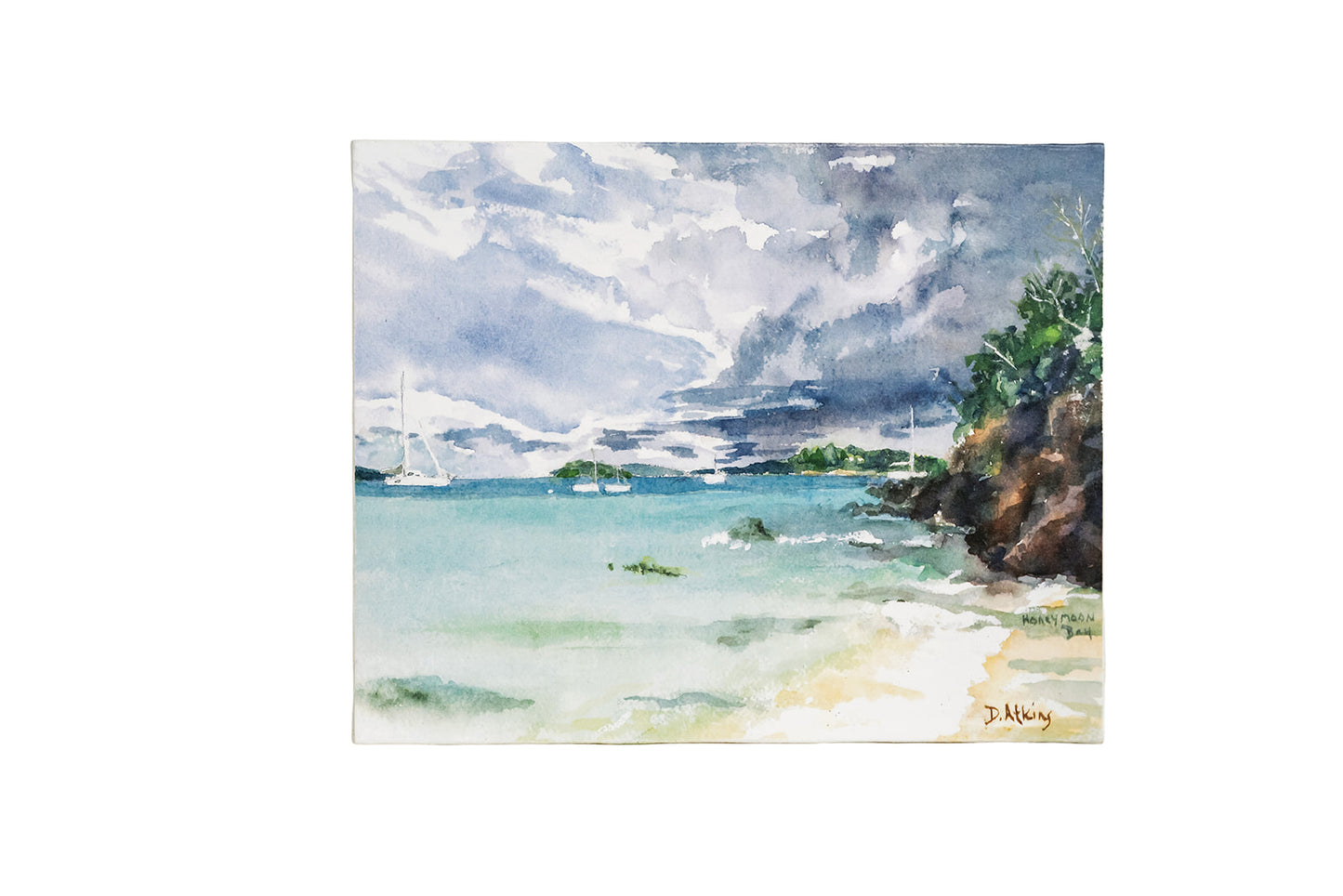 Donna Atkins Canvas Artwork