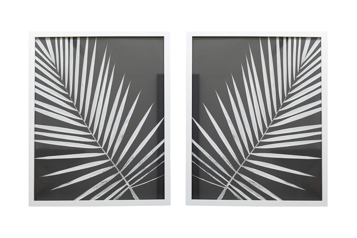 Framed Palm Artwork