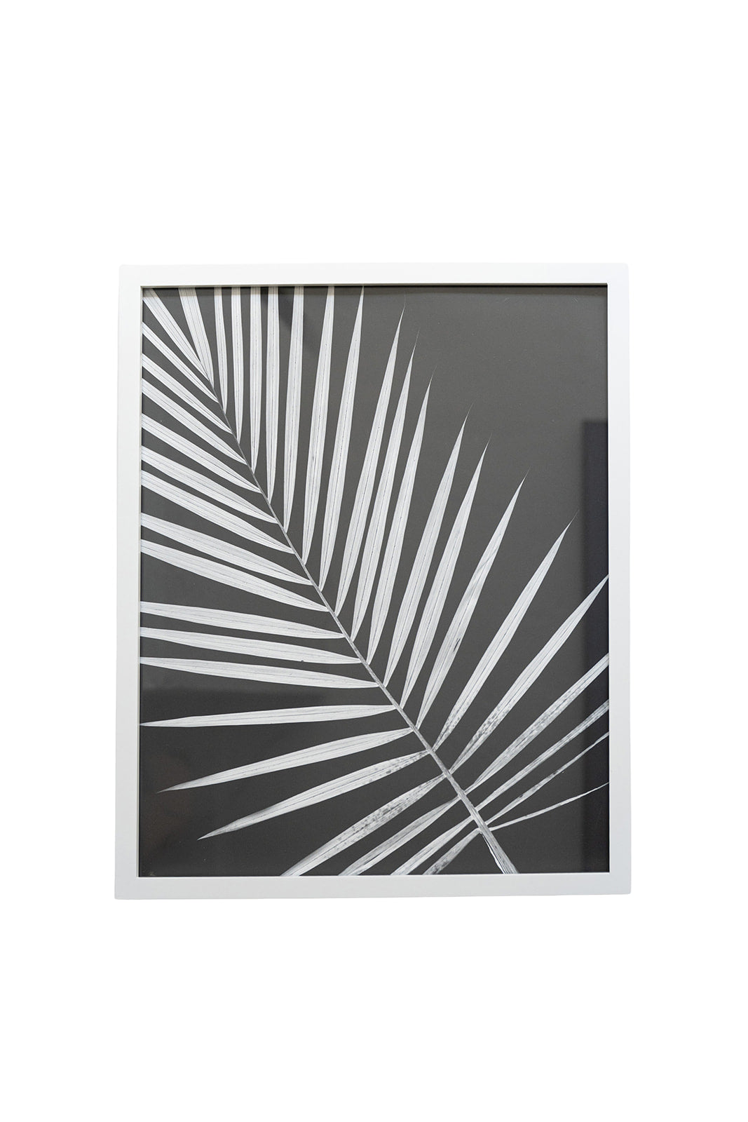 Framed Palm Artwork