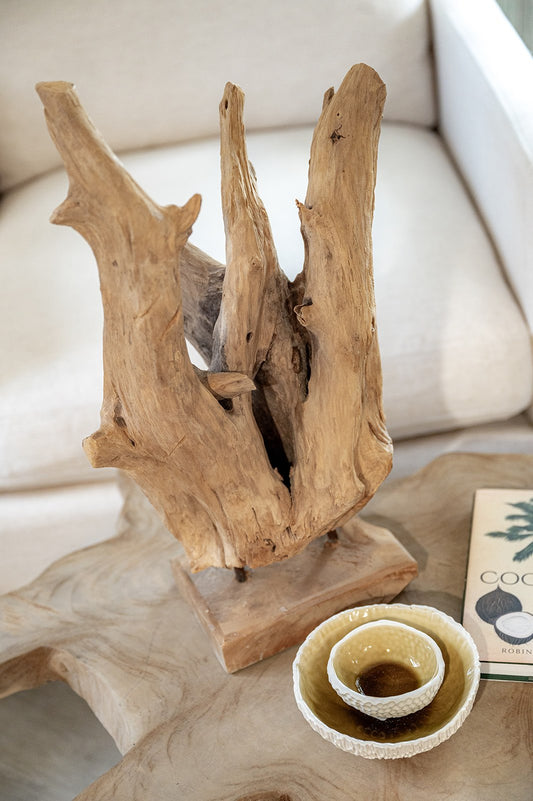 Driftwood on Base