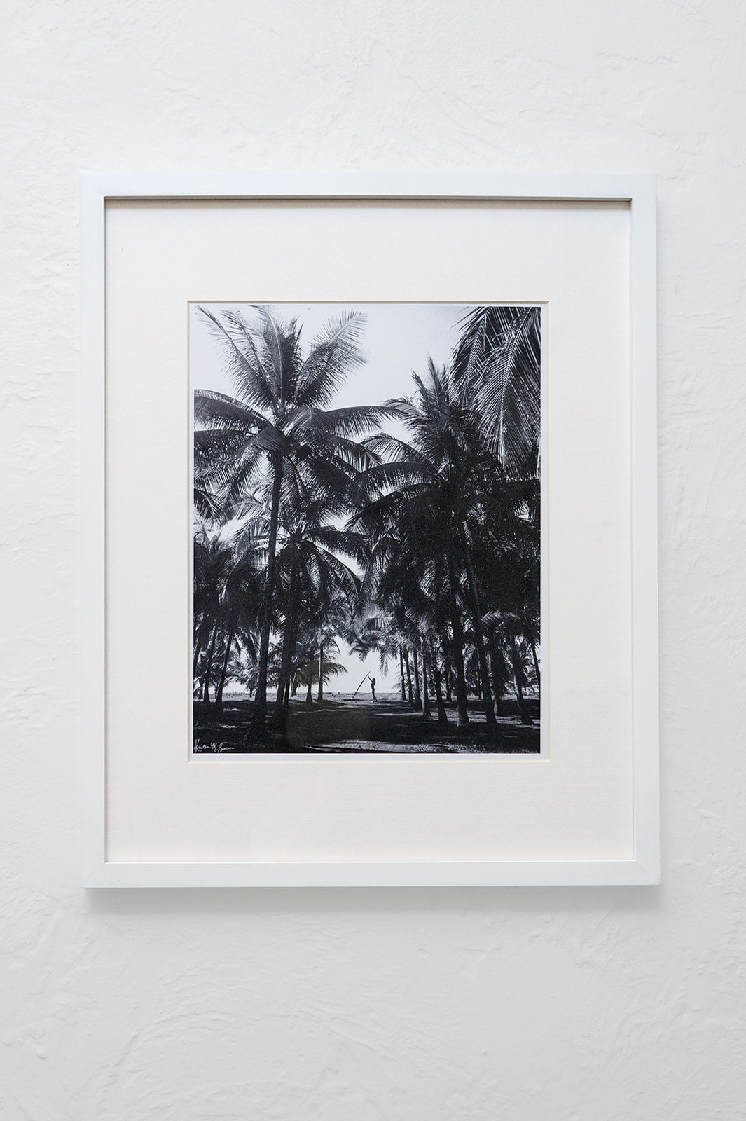 Framed Costa Rica Photography