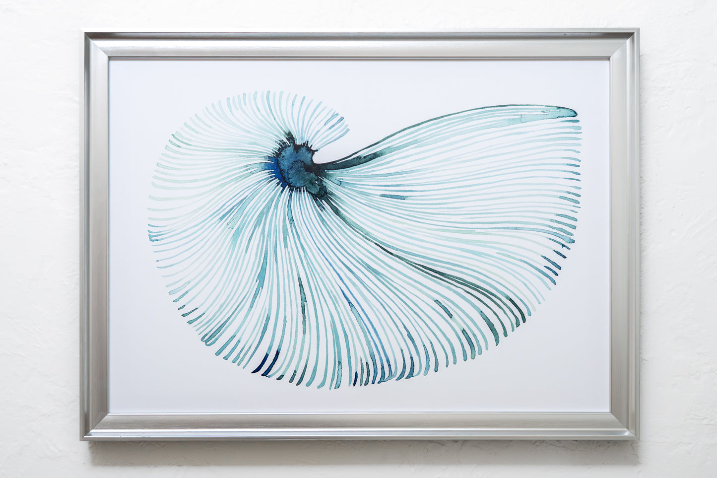 Water Color Shell