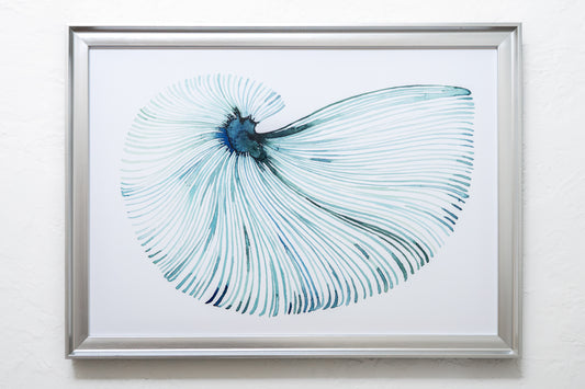 Water Color Shell