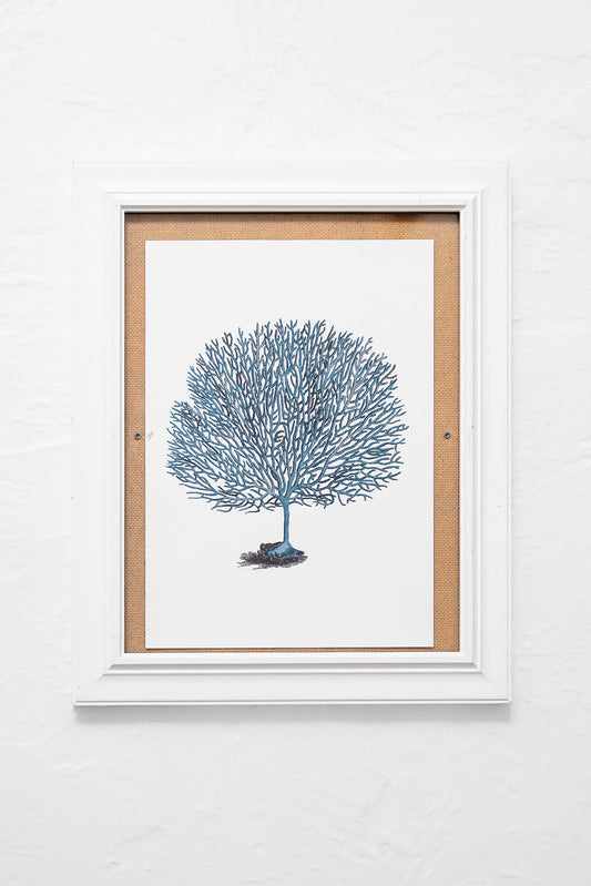 Framed Blue Coral Artwork