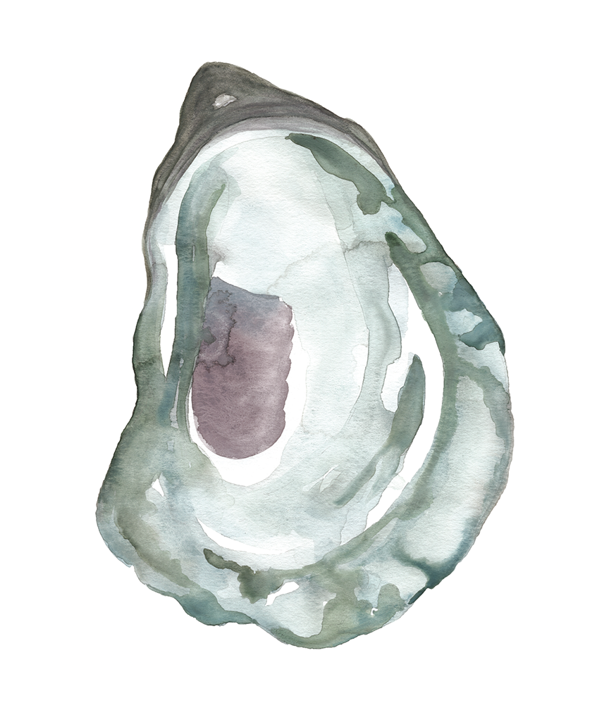 Watercolor Oyster Prints