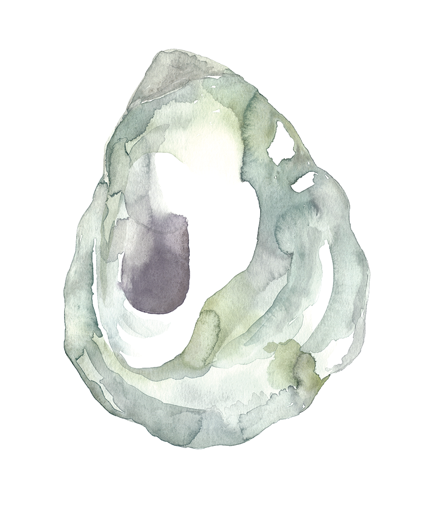 Watercolor Oyster Prints