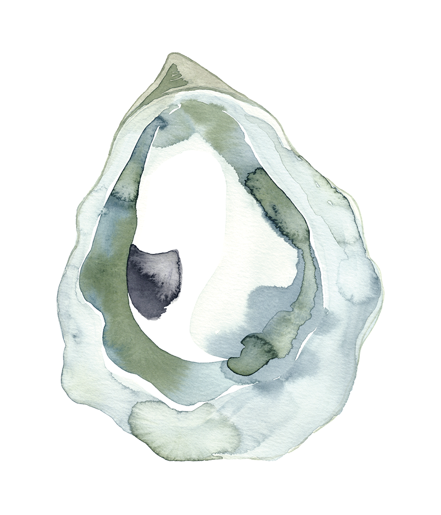 Watercolor Oyster Prints