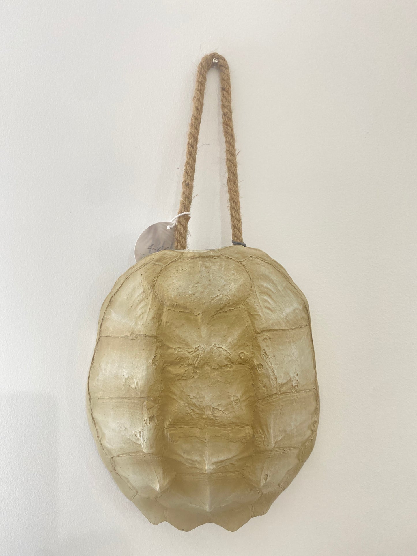 Turtle Shell Wall Accessory