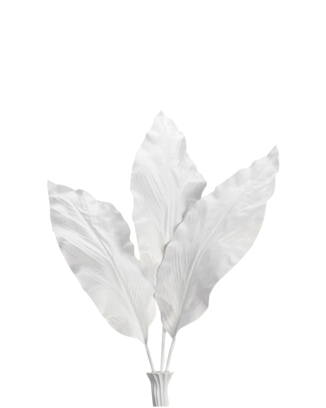 Faux White Canna Leaf
