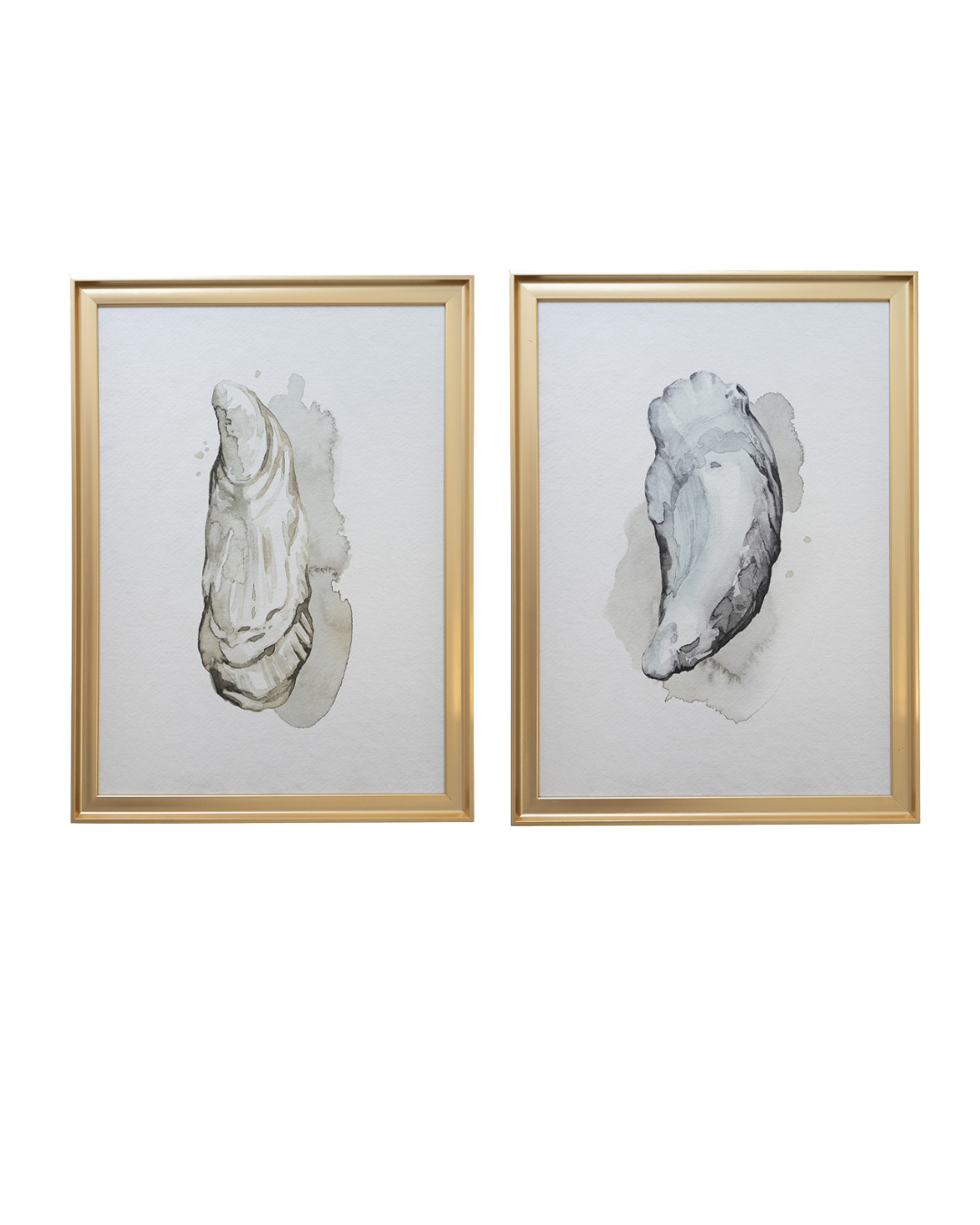 Watercolor Oyster- Gold