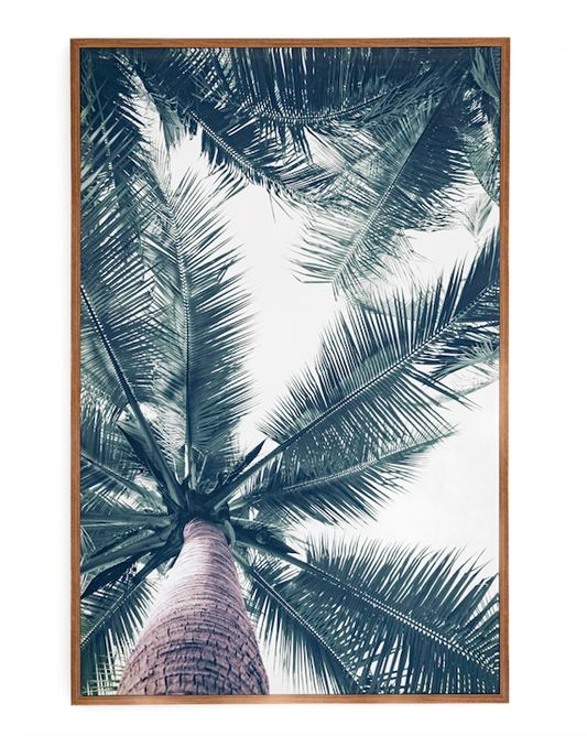 Large Canvas Art Palm Frond