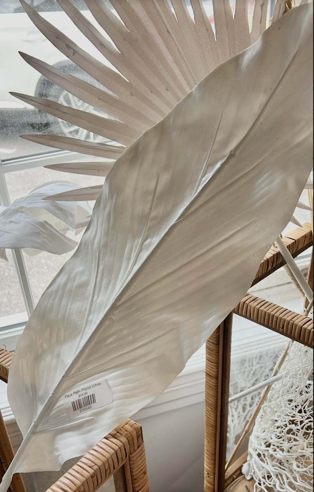 Faux Palm Frond White - Banana Leaf