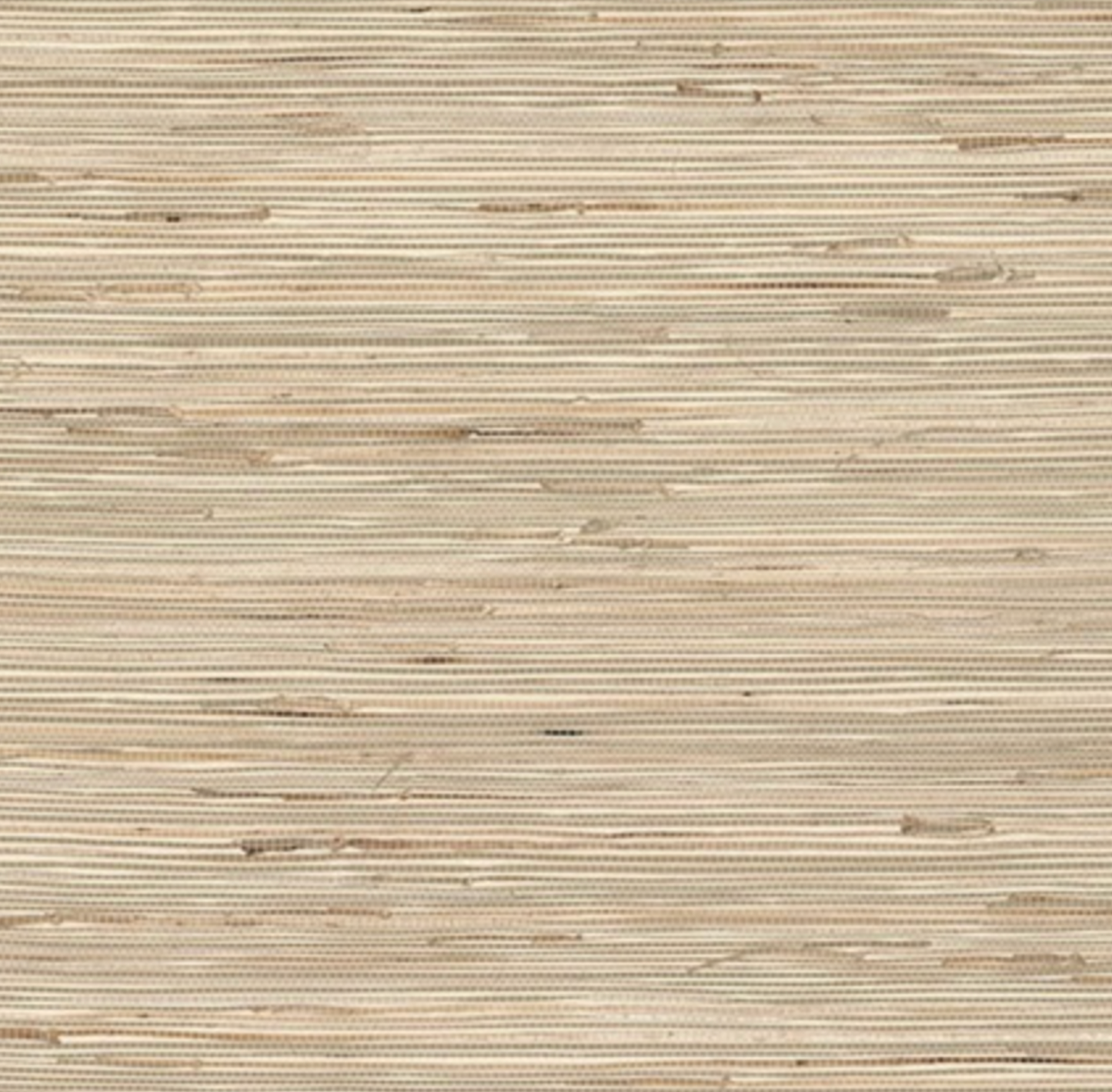 Grasscloth Natural #1