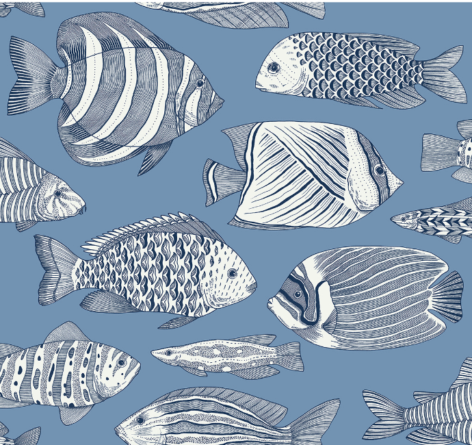 Blue & white tropical fish