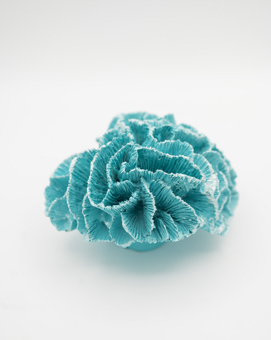 Piece of Coral - Teal