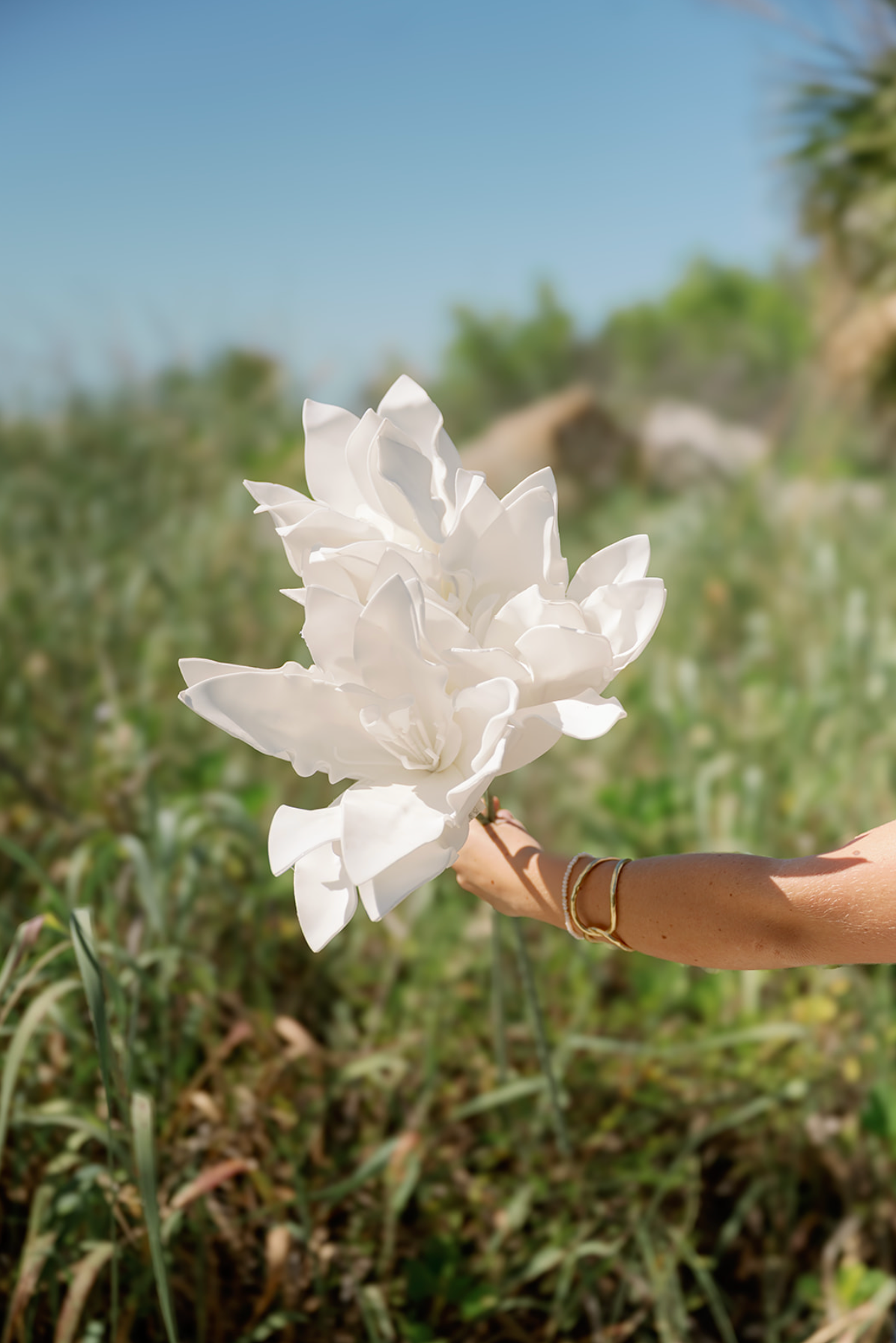 Foam White Flower