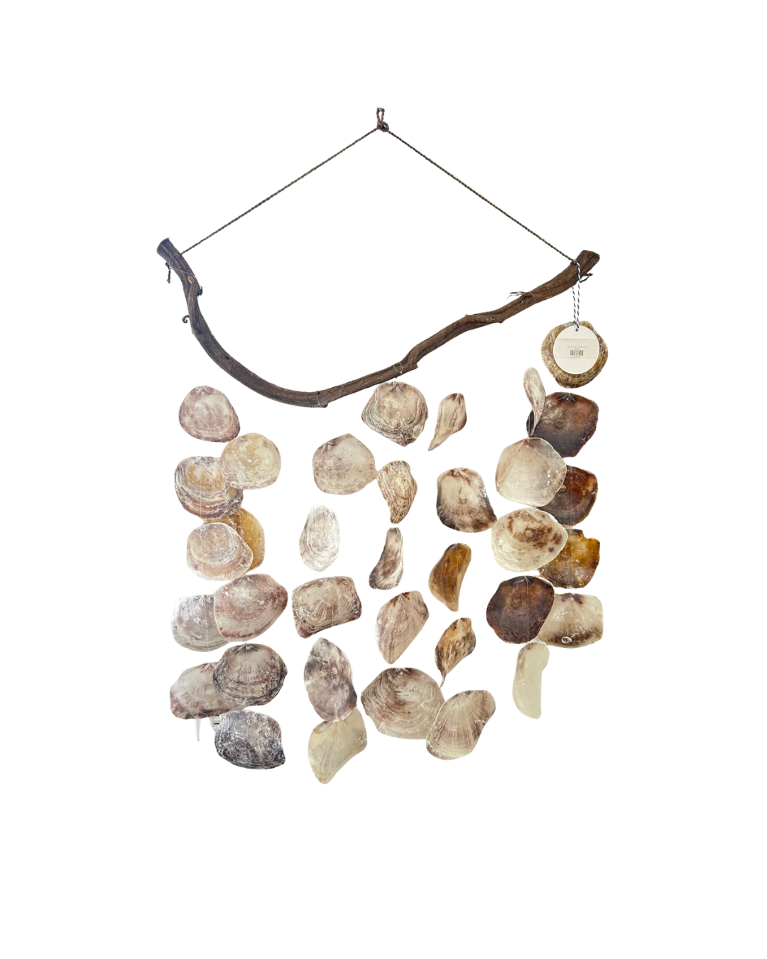 Natural wood and hanging shell art
