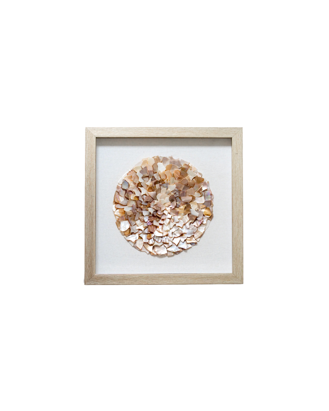 Framed Siesta Shells