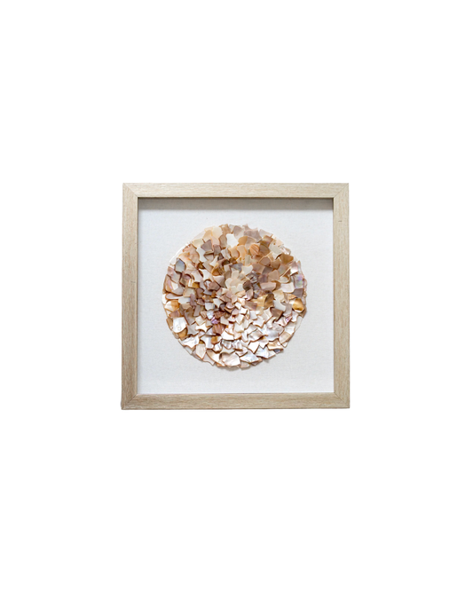 Framed Siesta Shells