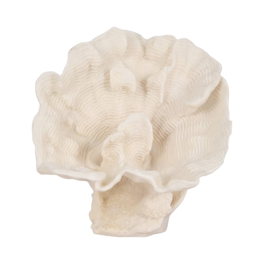 Coastal Coral Fan Decor