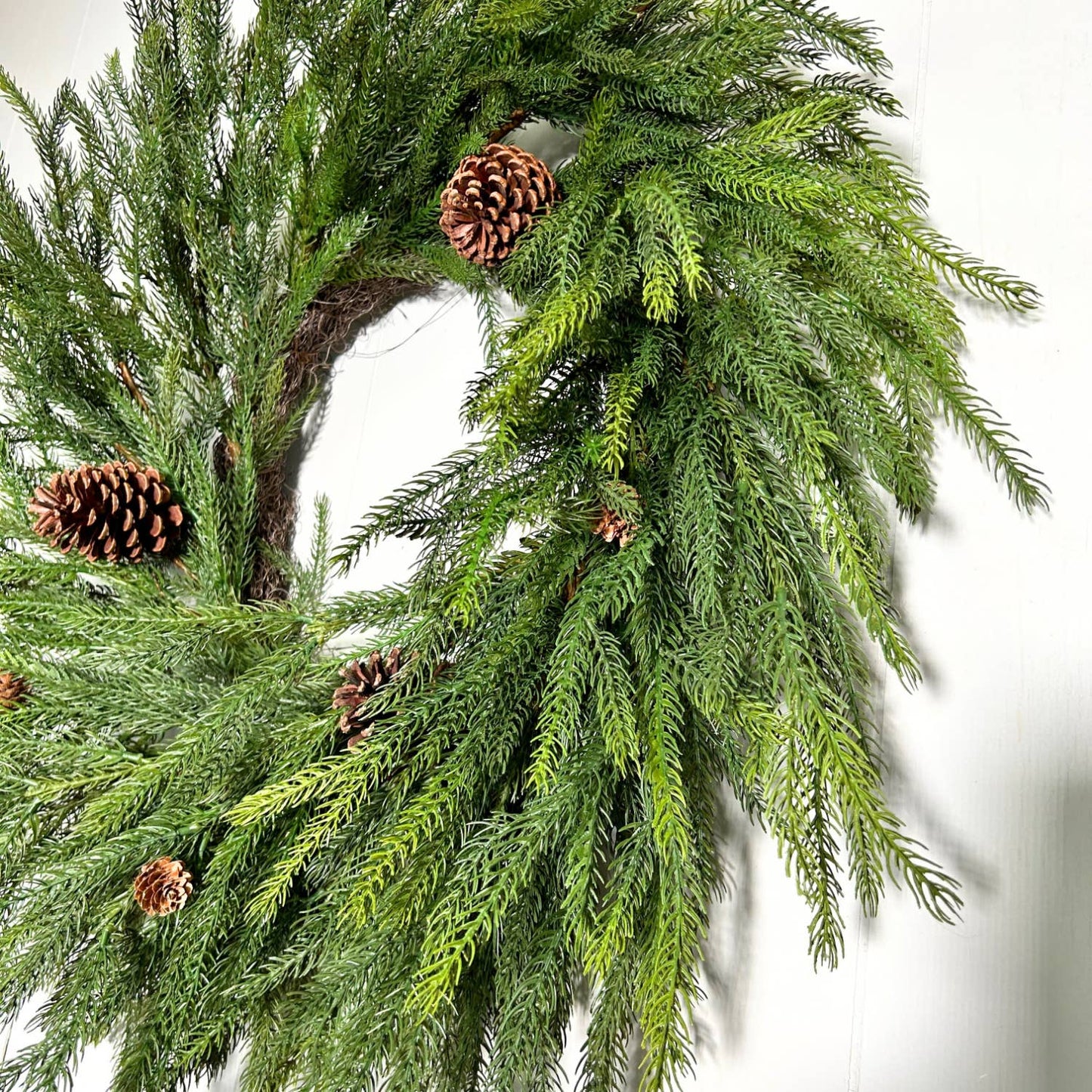 Pacific Norfolk Pine/Cone Christmas Wreath 28''