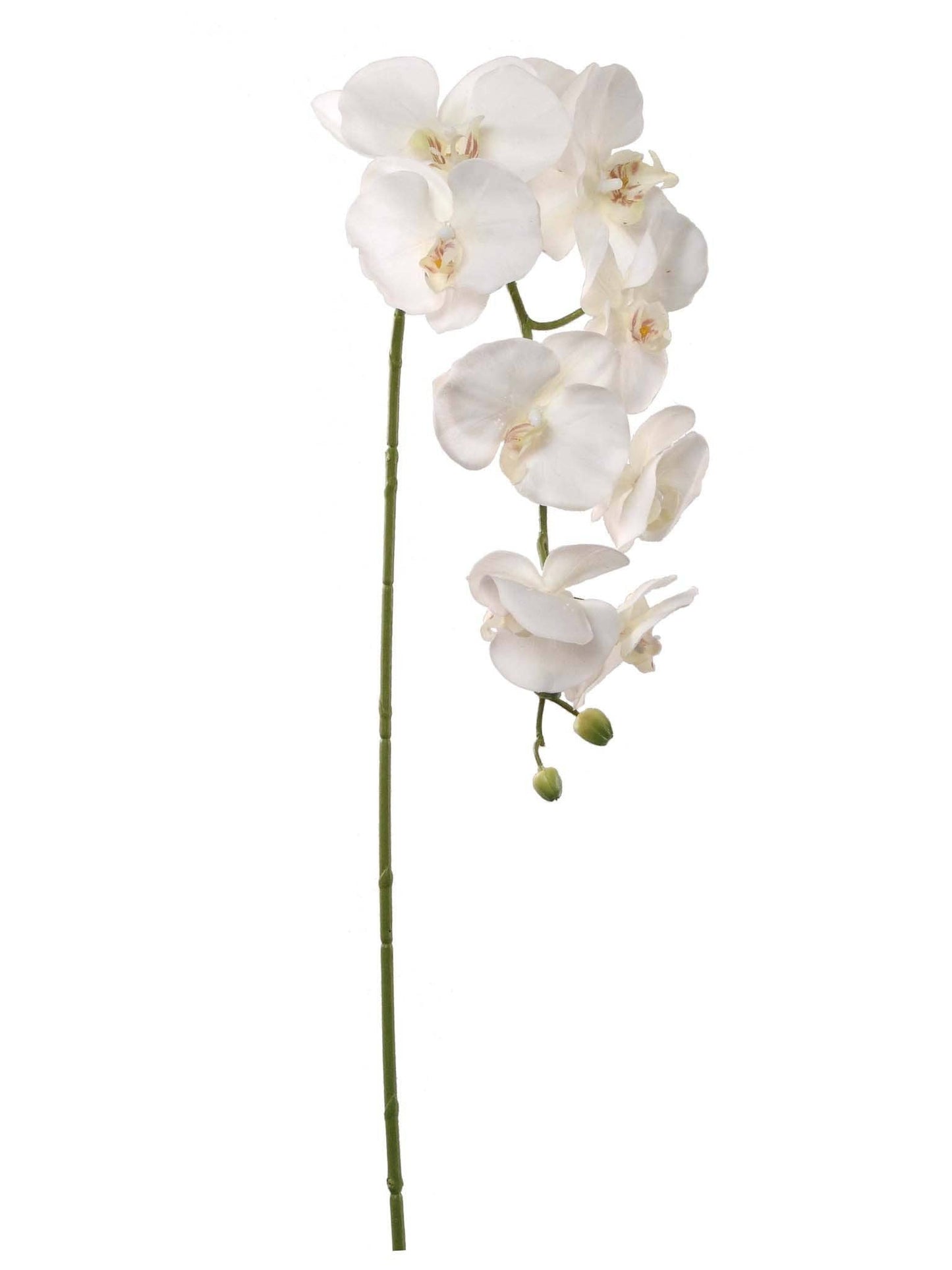 Faux Silk Orchid