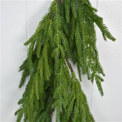 Coastal Natural Touch Norfolk Pine Garland 58"