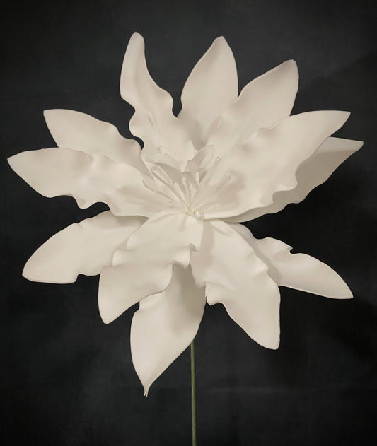 WHITE FOAM FLOWER