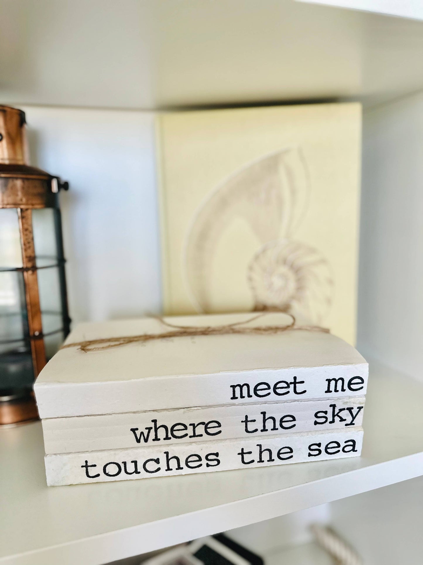 "Meet me where the sky touches the sea" Book Stack