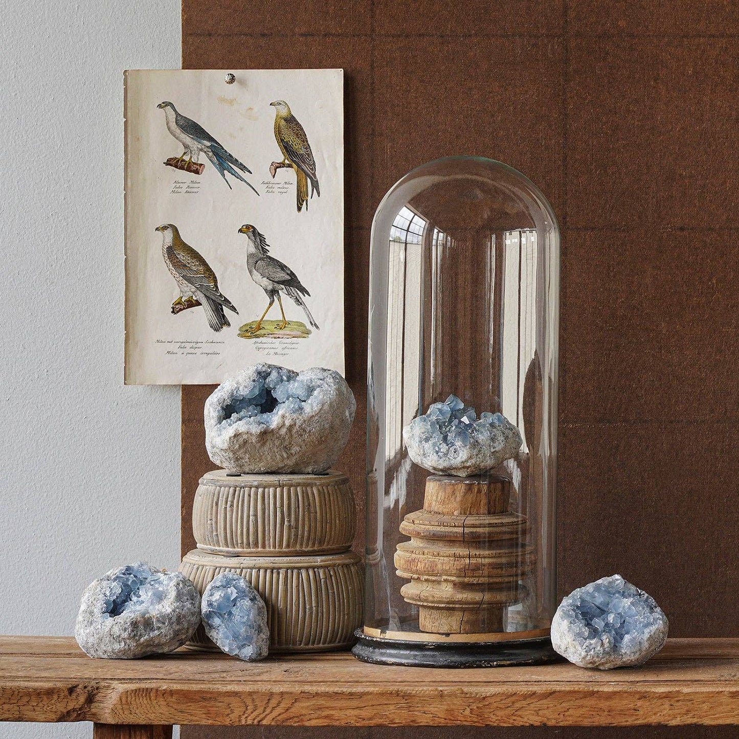 Celestite Geode: Large