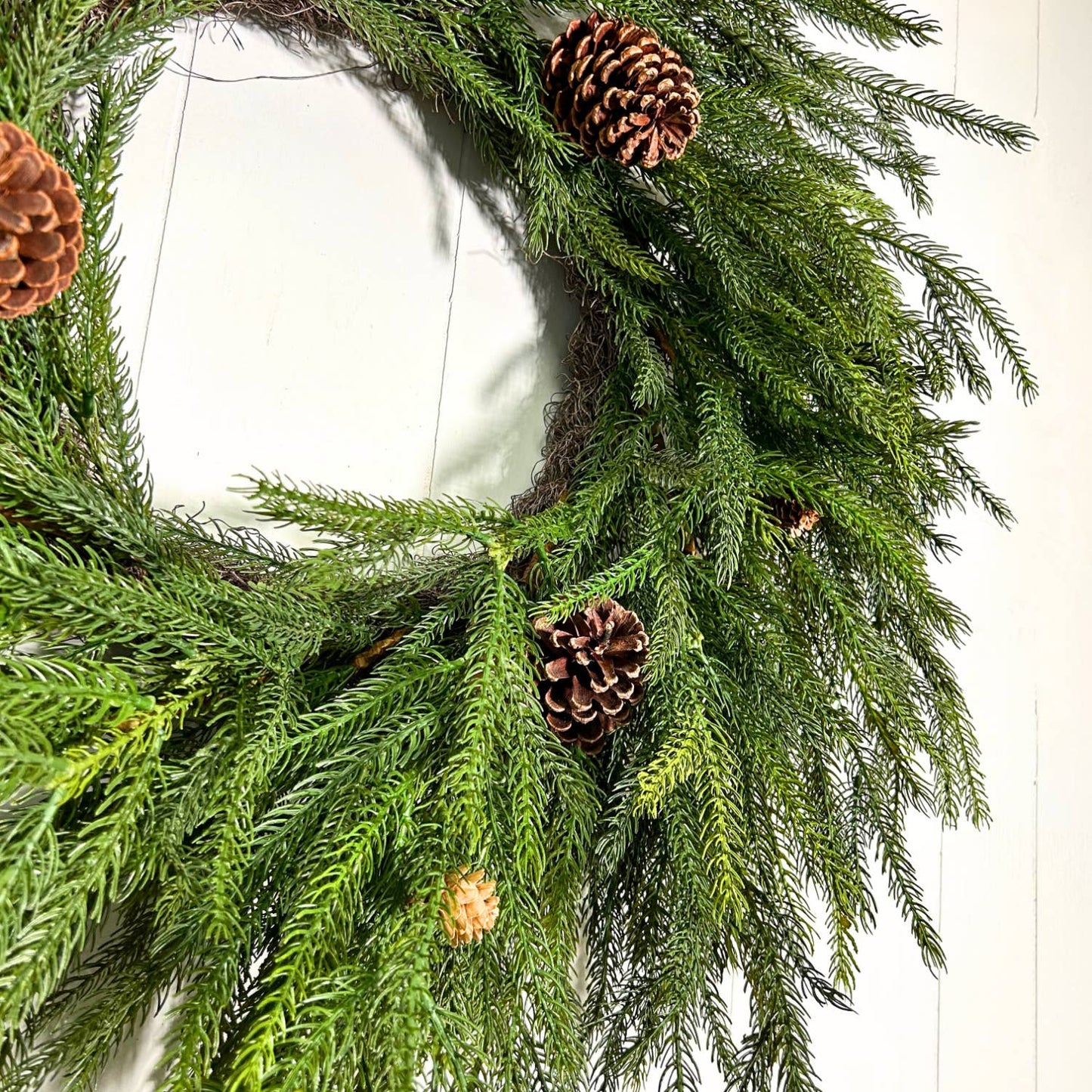 Pacific Norfolk Pine/Cone Christmas Wreath 28''