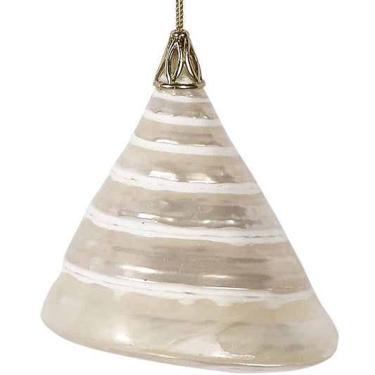 Gold Cap Pearled Trochus  Ornament