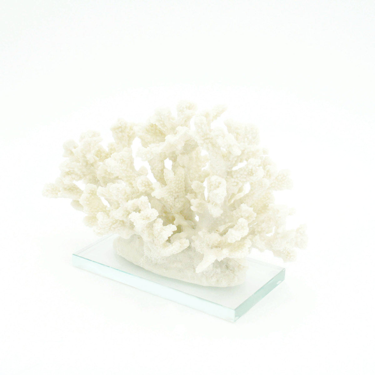 Sanibel Coral