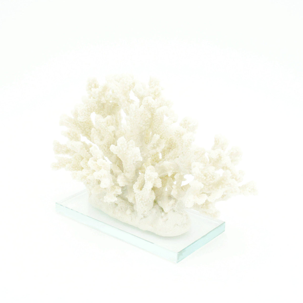 Sanibel Coral