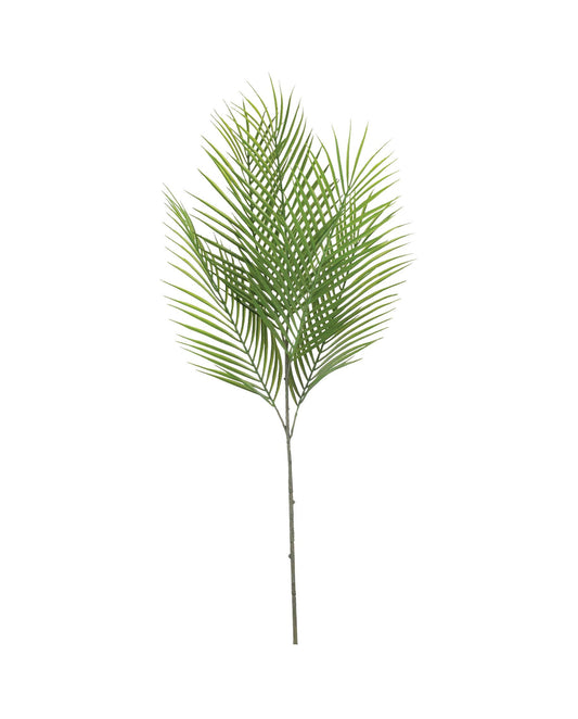 Palm Spray